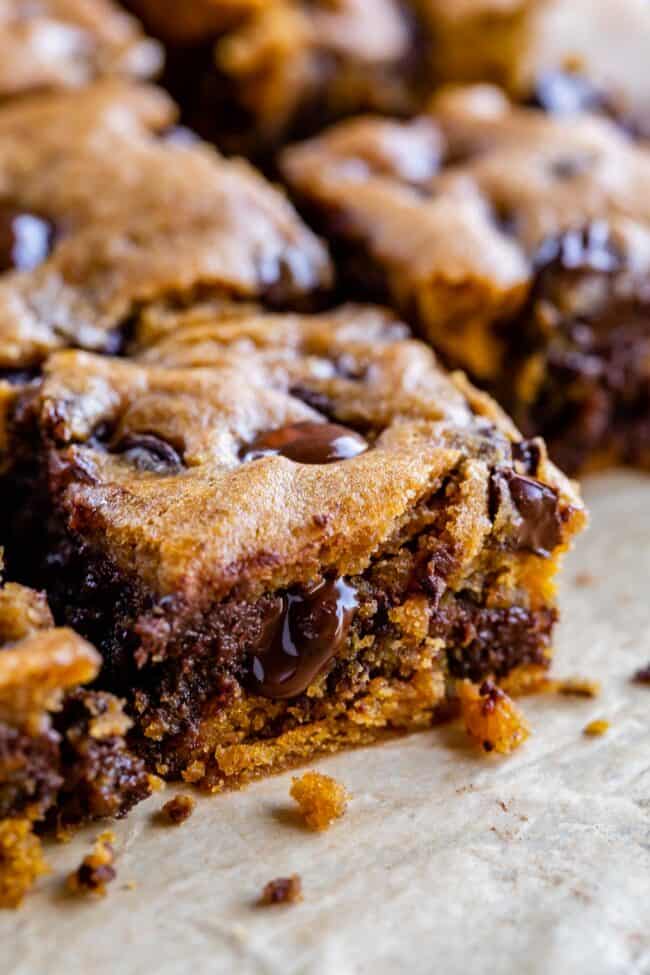 fudgy pumpkin chocolate bars