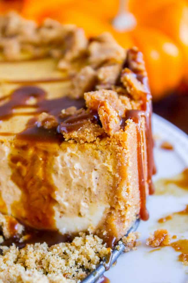 pumpkin cheesecake recipe