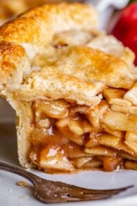 The Best Homemade Apple Pie 10