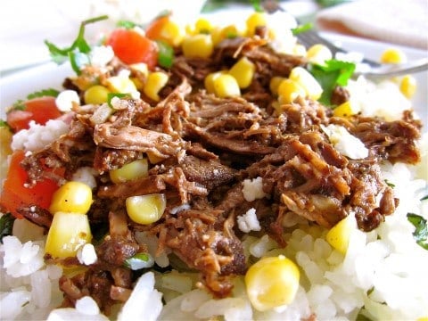 Barbacoa Beef - 56