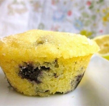 Blueberry Lemon Muffins from TheFoodCharlatan.com