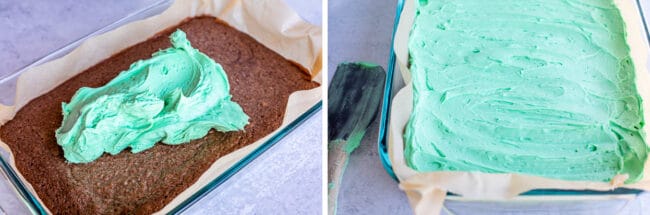 Fudgy Mint Chocolate Brownies - 6