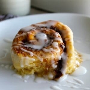 One Hour Cinnamon Rolls from TheFoodCharlatan.com