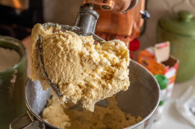 snickerdoodle cookie dough in a stand mixer.