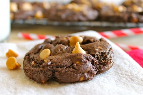 Homemade Peanut Butter Cookies - The Food Charlatan