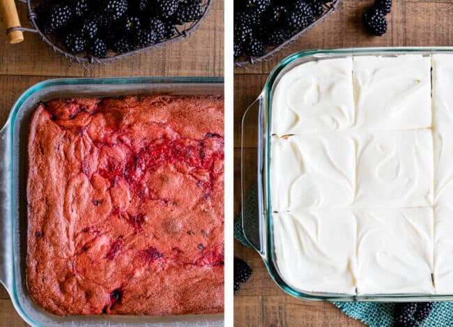 blackberry cake recipes