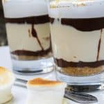 No Bake S'mores Cheesecakes from TheFoodCharlatan.com