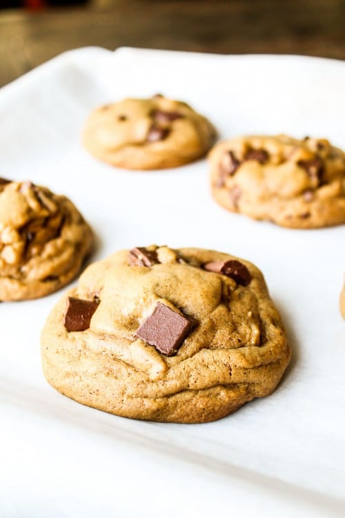 Chocolate Chunk Gingerbread Cookies