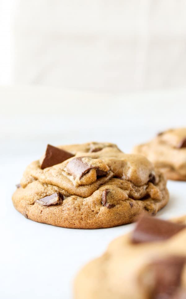 Chocolate Chunk Gingerbread Cookies