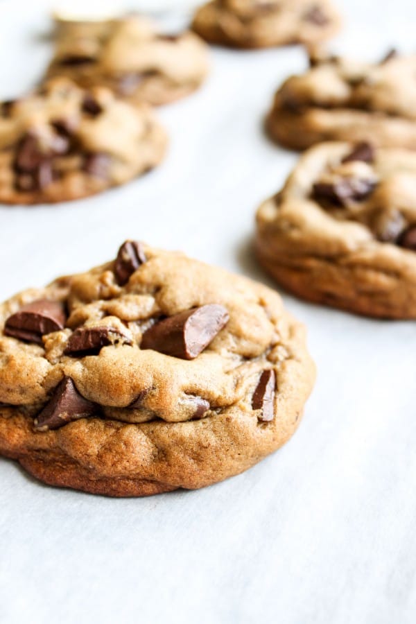 Chocolate Chunk Gingerbread Cookies