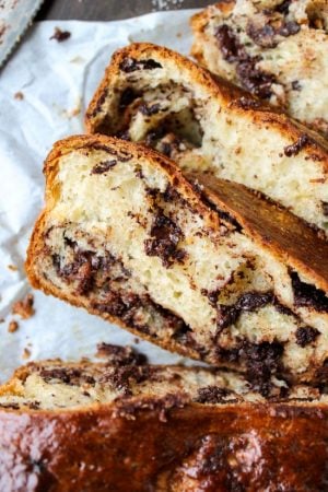 Best Chocolate Babka Recipe - The Food Charlatan