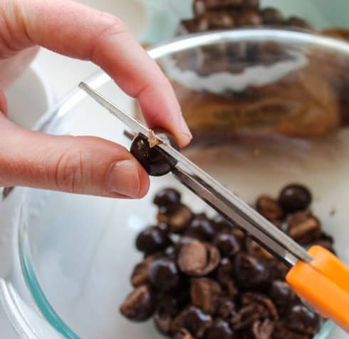 snipping chocolate covered brown butter sea salt caramels in half with scissors. 