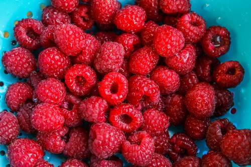 Raspberry Lemon Muffins