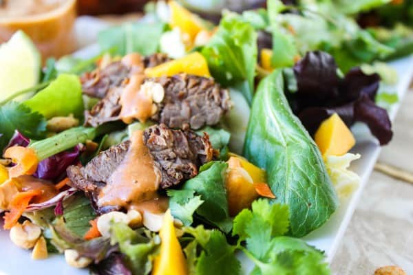 CrockPot Thai Steak Salad with Peanut-Hoisin Sauce