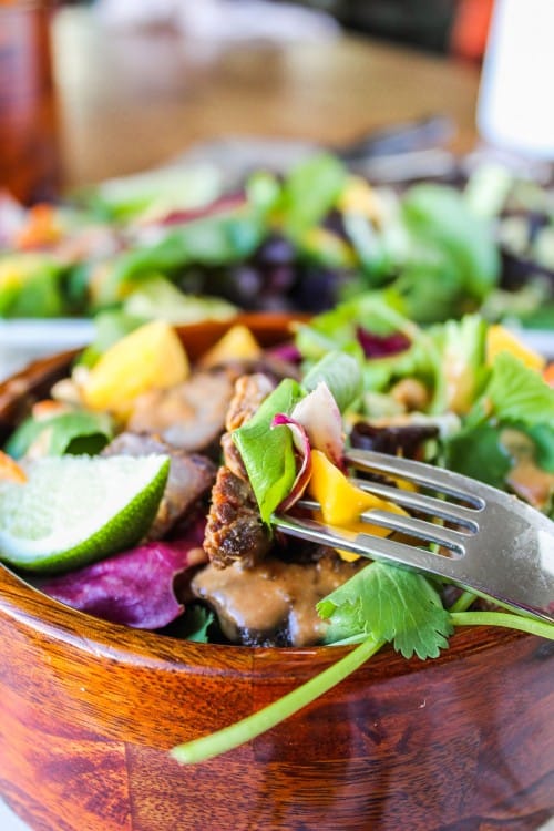 CrockPot Thai Steak Salad with Peanut-Hoisin Sauce