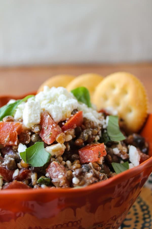 Fresh Bruschetta and Lentil Dip