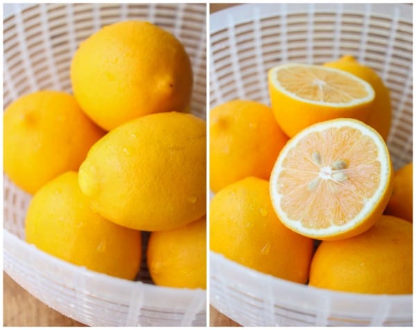 meyer lemons washed in a salad spinner basket.