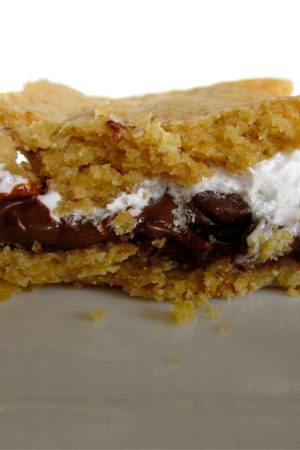 S'mores Bars from The Food Charlatan
