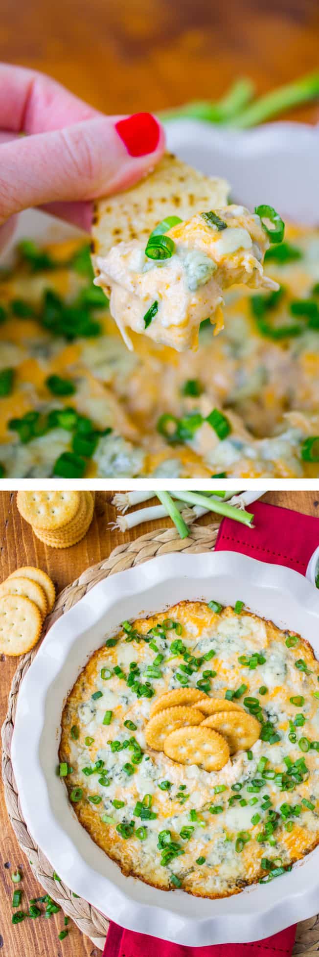 Cheesy Buffalo Chicken Dip Recipe - 22