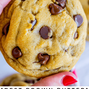 hand holding a chocolate chip cookie.