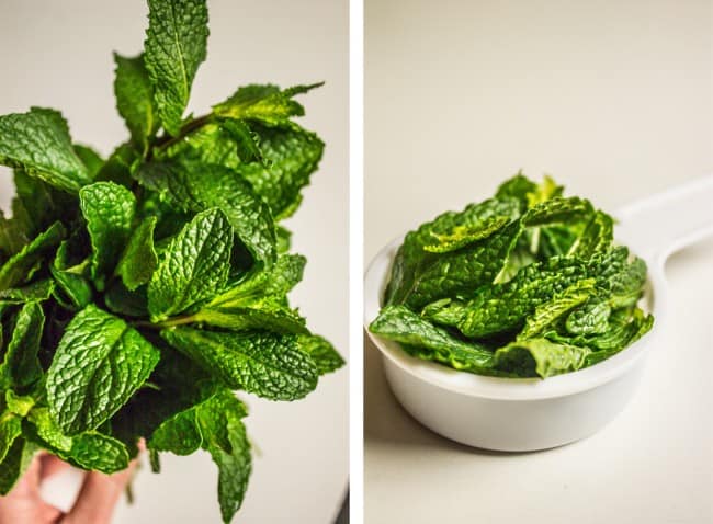 Fresh mint leaves in a white measuring cup. 