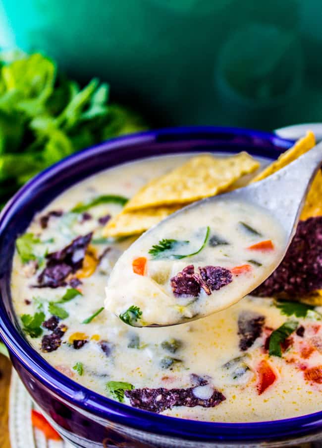 Easy Queso Dip Potato Soup - 48