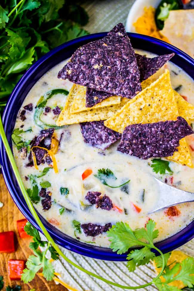 Easy Queso Dip Potato Soup from The Food Charlatan