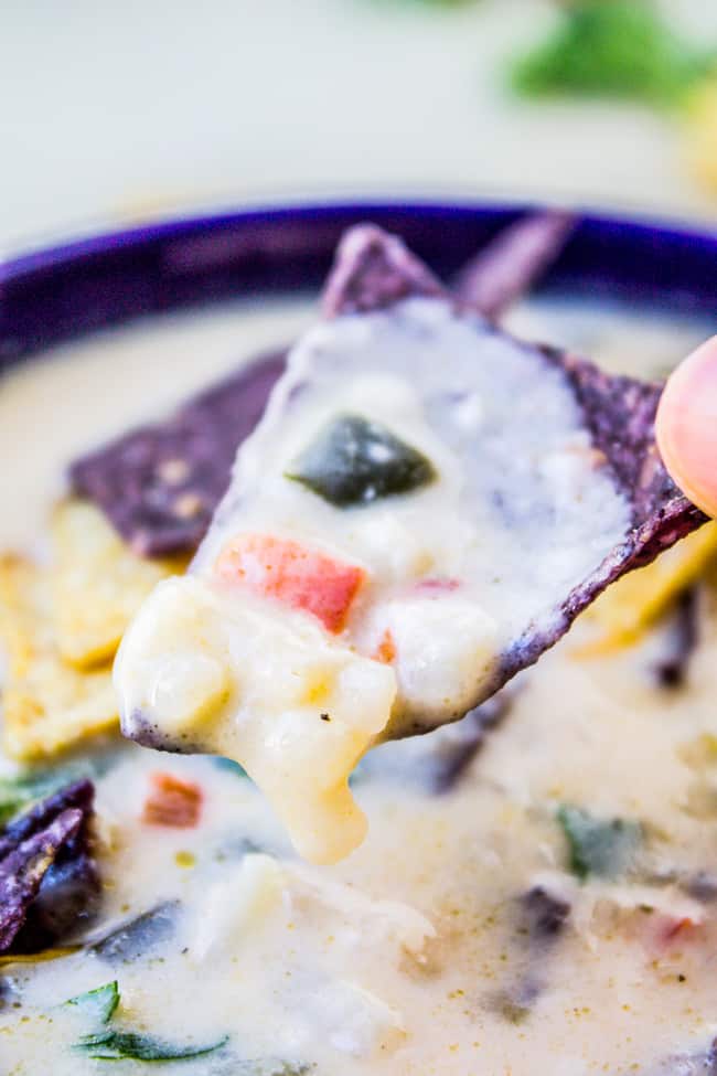 Easy Queso Dip Potato Soup from The Food Charlatan