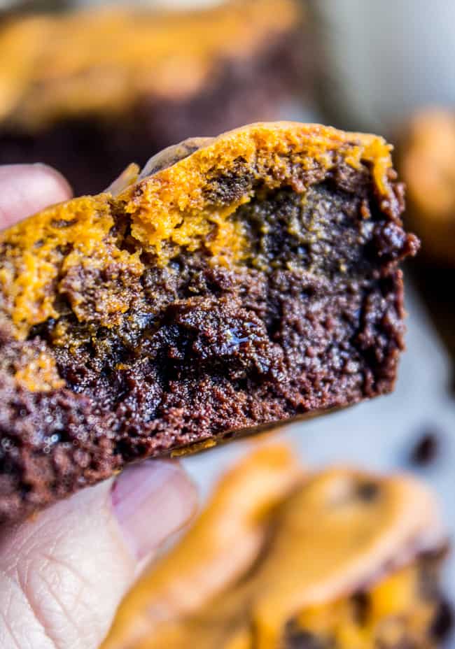 Pumpkin Cream Cheese Swirl Brownies from The Food Charlatan