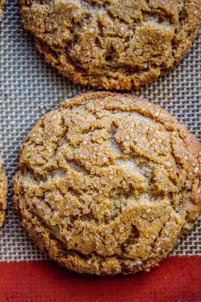 gingersnaps that puff when baking but flatten when cool.