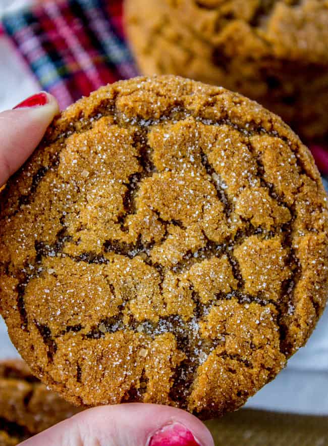 Crackled texture of gingersnap with sugar on it.
