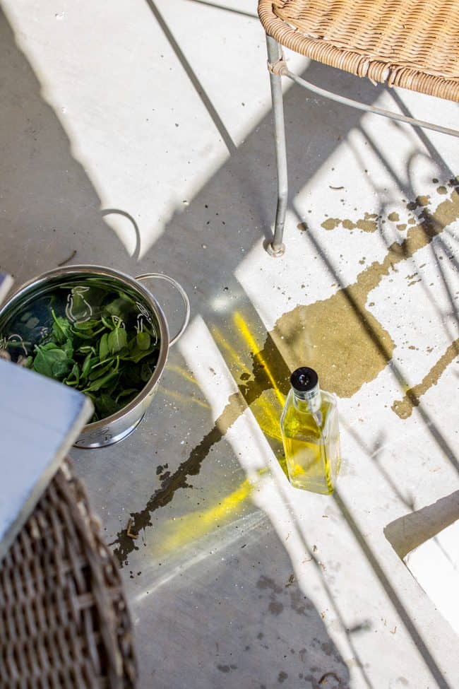 spilled olive oil and spinach on a concrete patio.