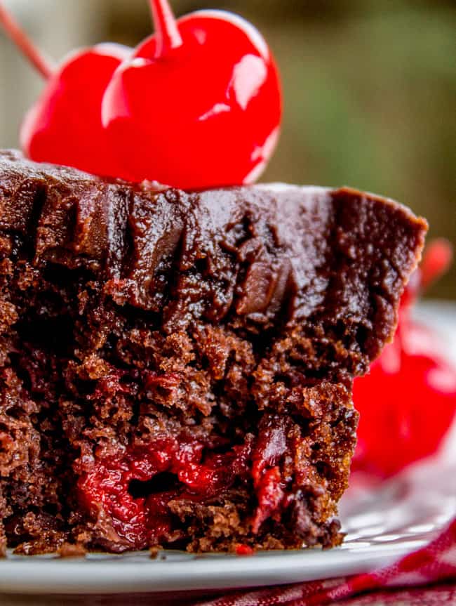 Chocolate Cherry Sheet Cake with Fudge Frosting from The Food Charlatan