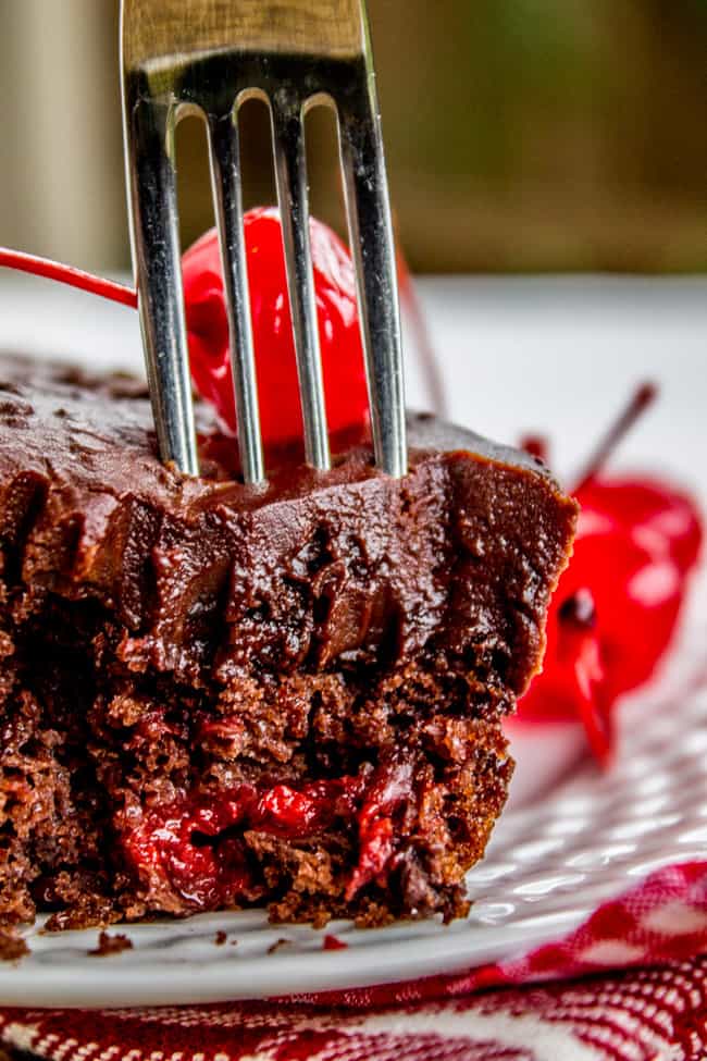 Chocolate Cherry Sheet Cake with Fudge Frosting from The Food Charlatan