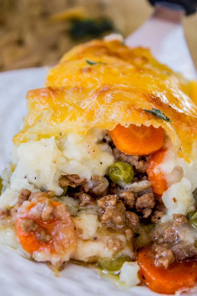 shepherd's pie with cheese on top on a white plate.