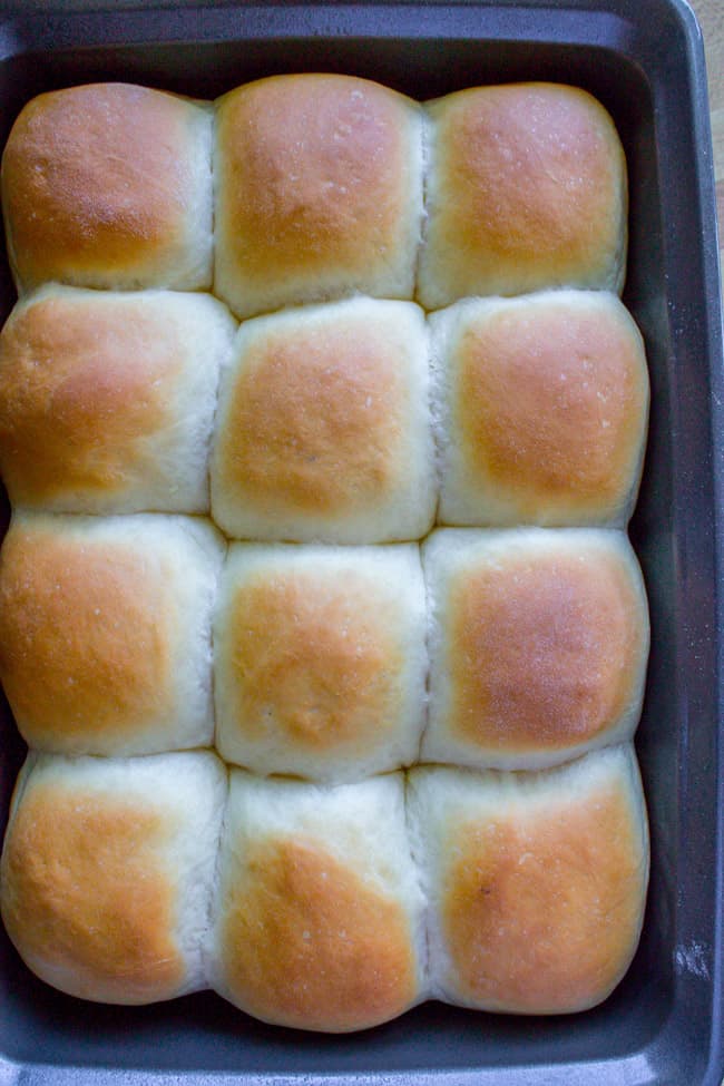 One dozen dinner rolls fresh out of oven before buttering.