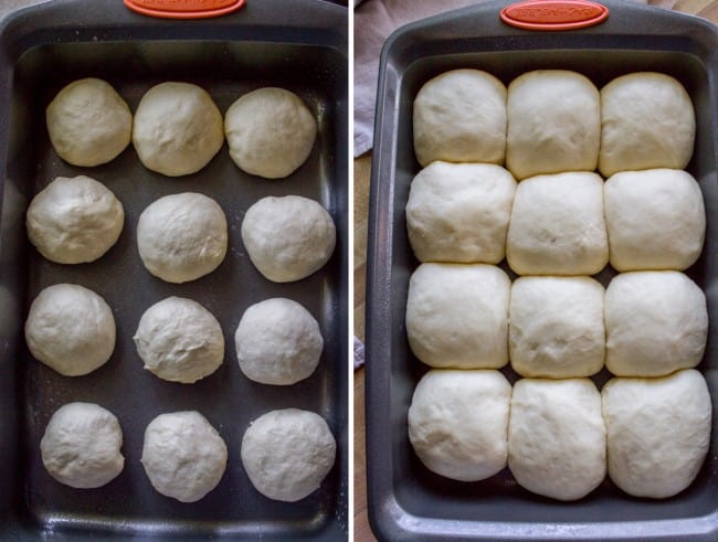 One dozen dinner rolls rising in pan.