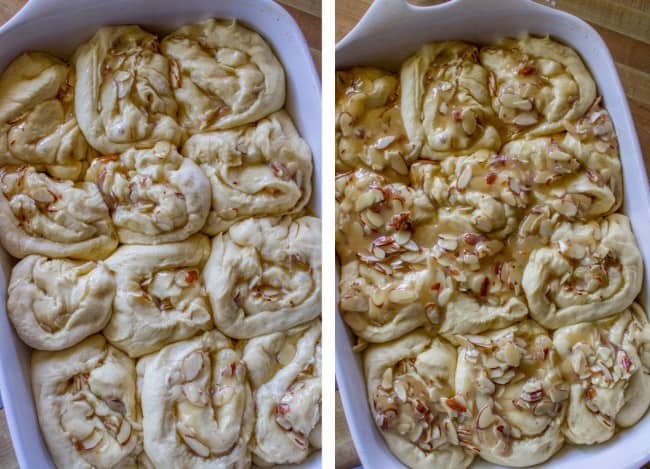 almond sweet rolls rising in a pan with honey almond topping on them.