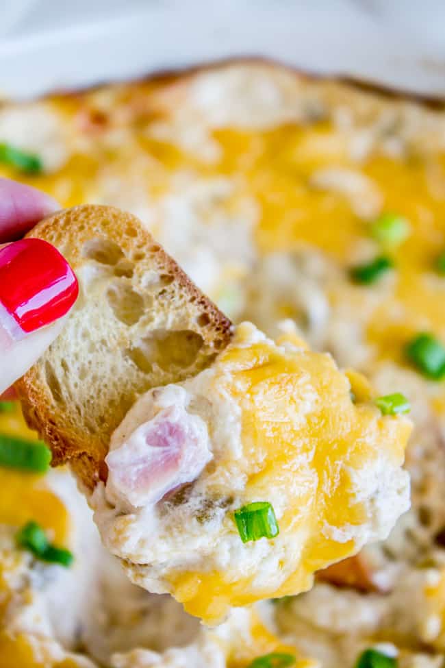 Ham and Cheese Dip from The Food Charlatan