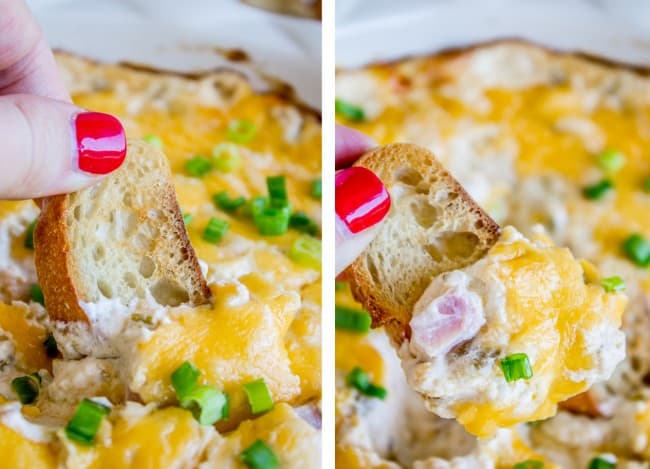 Ham and Cheese Dip from The Food Charlatan