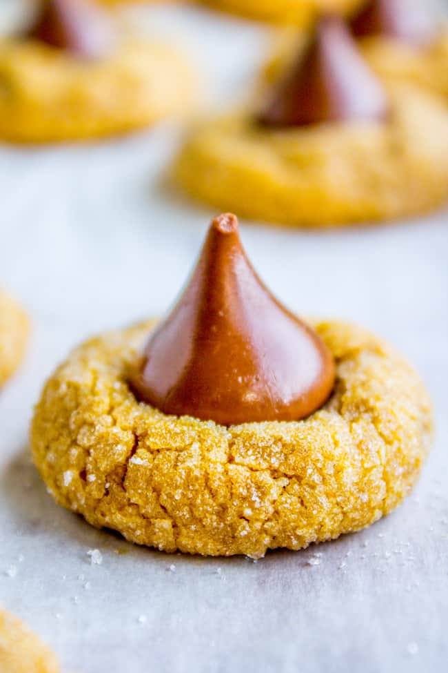 Peanut Butter Pumpkin Blossoms from The Food Charlatan