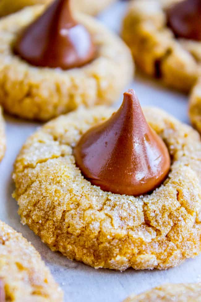 Peanut Butter Pumpkin Blossoms from The Food Charlatan