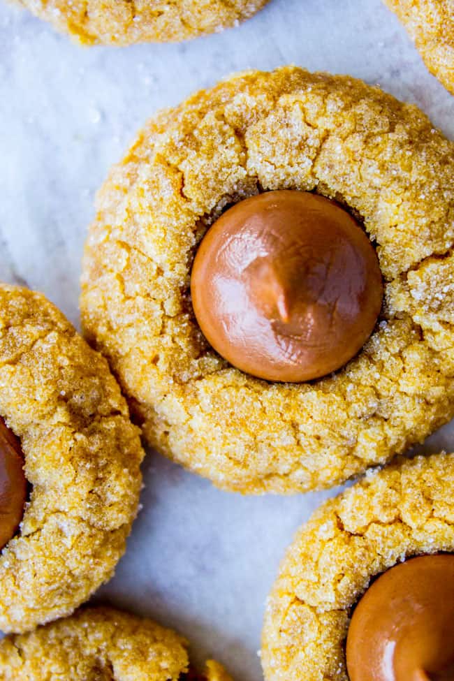 Peanut Butter Pumpkin Blossoms from The Food Charlatan