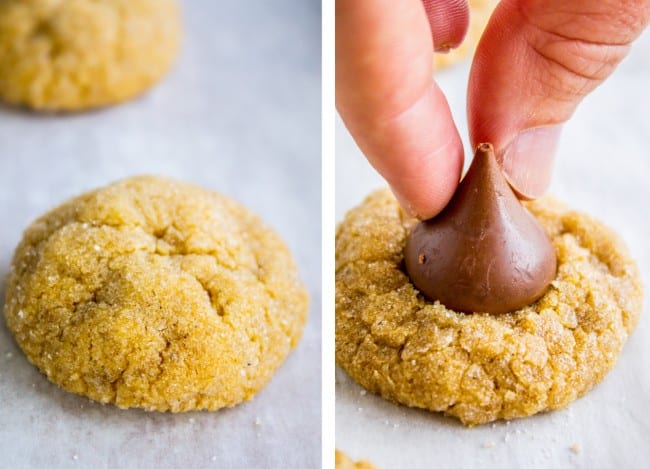 Peanut Butter Pumpkin Blossoms from The Food Charlatan