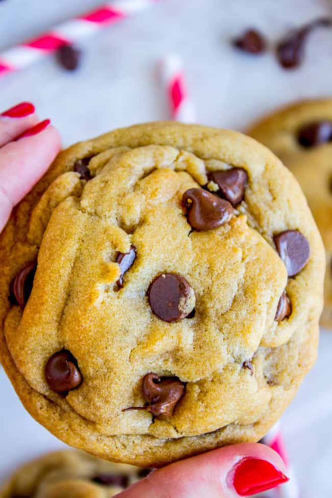 hand holding a chocolate chip cookie.