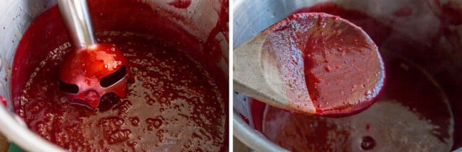 pureed cranberry sauce with immersion blender