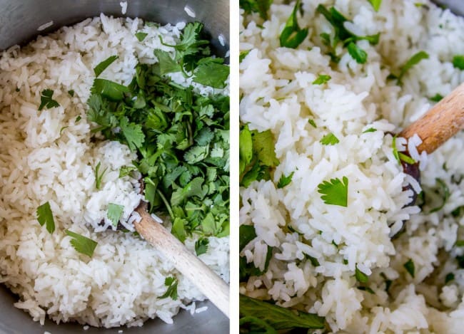 Coconut Jasmine Rice with Cilantro from The Food Charlatan