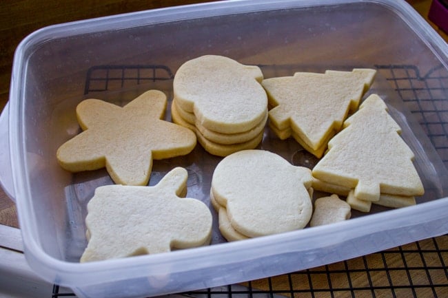 how to make sugar cookies ahead showing unfrosted, pumpkin-shaped cookies stacked inside a storage container, ready to freeze