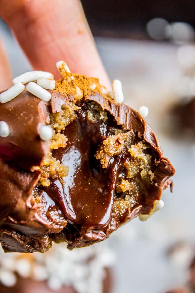 Chocolate Stuffed Snickerdoodle Truffles from The Food Charlatan