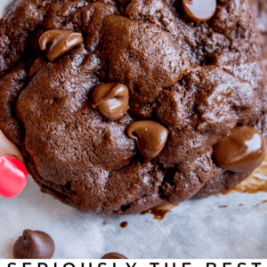 A hand holds a thick double chocolate chip cookie loaded with rich chocolate chips, above text that reads Seriously the Best Double Chocolate Chip Cookies. Indulge your sweet tooth with this decadent chocolate treat.